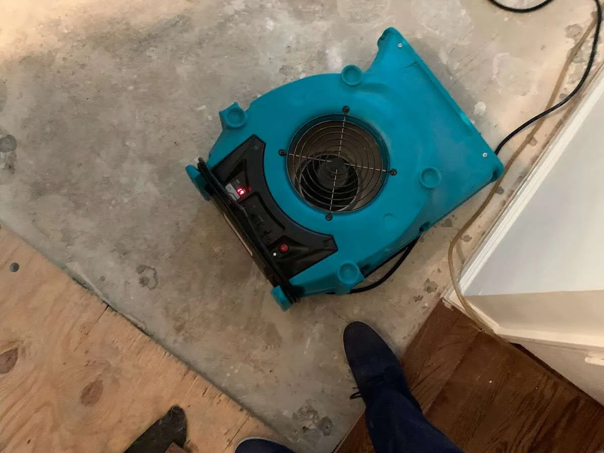 Air mover drying subfloor during Commercial Water Damage Restoration in Walterboro
